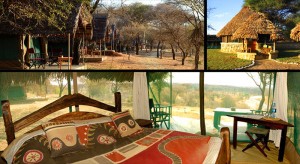Tarangire Safari Lodge - Tarangire National Park