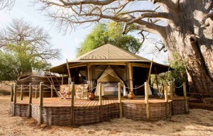 Sanctuary Swala Camp - Tarangire National Park