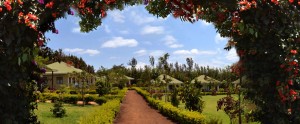 Country Lodge - Karatu (and Near Ngorongoro Area)