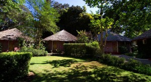 Ilboru Safari Lodge - Arusha