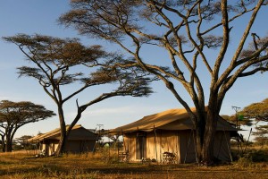 Mara Under Canvas Tented Camp - Northern Serengeti Mara Under Canvas Tented Camp - Northern Serengeti