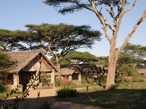 Ndutu Safari Lodge - Serengeti National Park