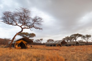 Serengeti Kati Kati Tented Camp - Serengeti National Park